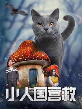 国产不卡在线
